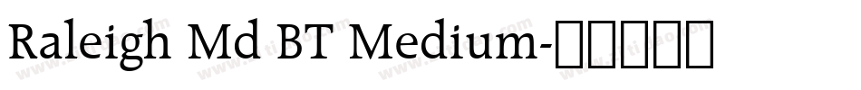Raleigh Md BT Medium字体转换